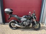 Honda CB 600 F CB600F Hornet, Motoren, Motoren | Honda, Ivo@technoservicehoogendijk.nl, Jan Tinbergenstraat 8-b
2811DZ  Reeuwijk, NL