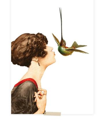 DAMETJE KUST KOLIBRI beschikbaar voor biedingen