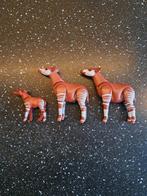 PLAYMOBIL Family Fun 6643 - Okapi Familie, Ophalen of Verzenden, Zo goed als nieuw, Jongen of Meisje