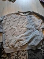 Grijze Primark Trui - Maat 158, Ophalen of Verzenden, Zo goed als nieuw, Primark, Jongen of Meisje