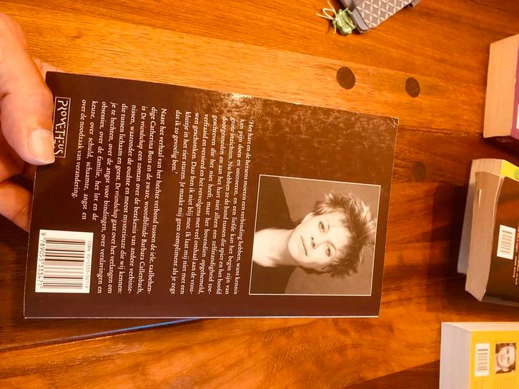 De vriendschap / Connie Palmer, Boeken, Romans, Zo goed als nieuw, Ophalen of Verzenden