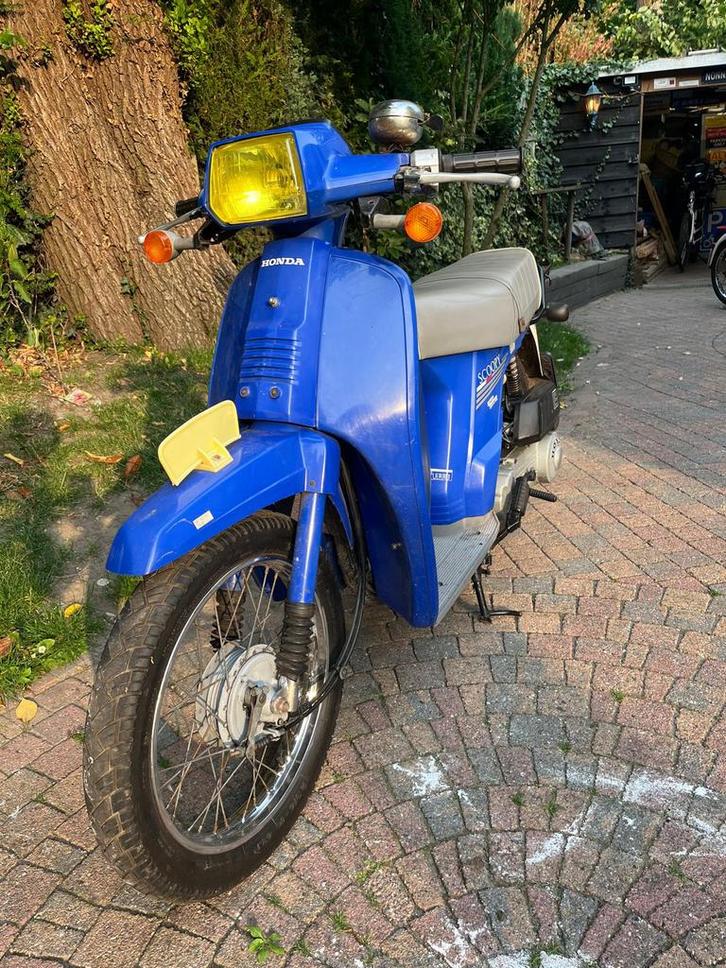 Honda scoopy sh50, Fietsen en Brommers, Brommers | Honda, Overige modellen, Maximaal 45 km/u, Ophalen