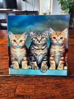 tegeltje met kittens, katten, Minder dan 50 cm, Ophalen of Verzenden, Zo goed als nieuw, Schilderij