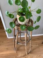 Plantentafeltje bijzettafeltje plantentafel, Ophalen, Zo goed als nieuw, 60 cm of meer, Rechthoekig