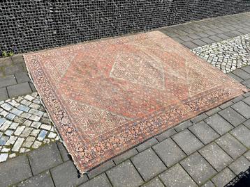 Oud Perzisch Tapijt 270x300cm beschikbaar voor biedingen