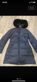 Prada winterjas dames, Kleding | Dames, Jassen | Winter, Ophalen of Verzenden, Zo goed als nieuw, Zwart