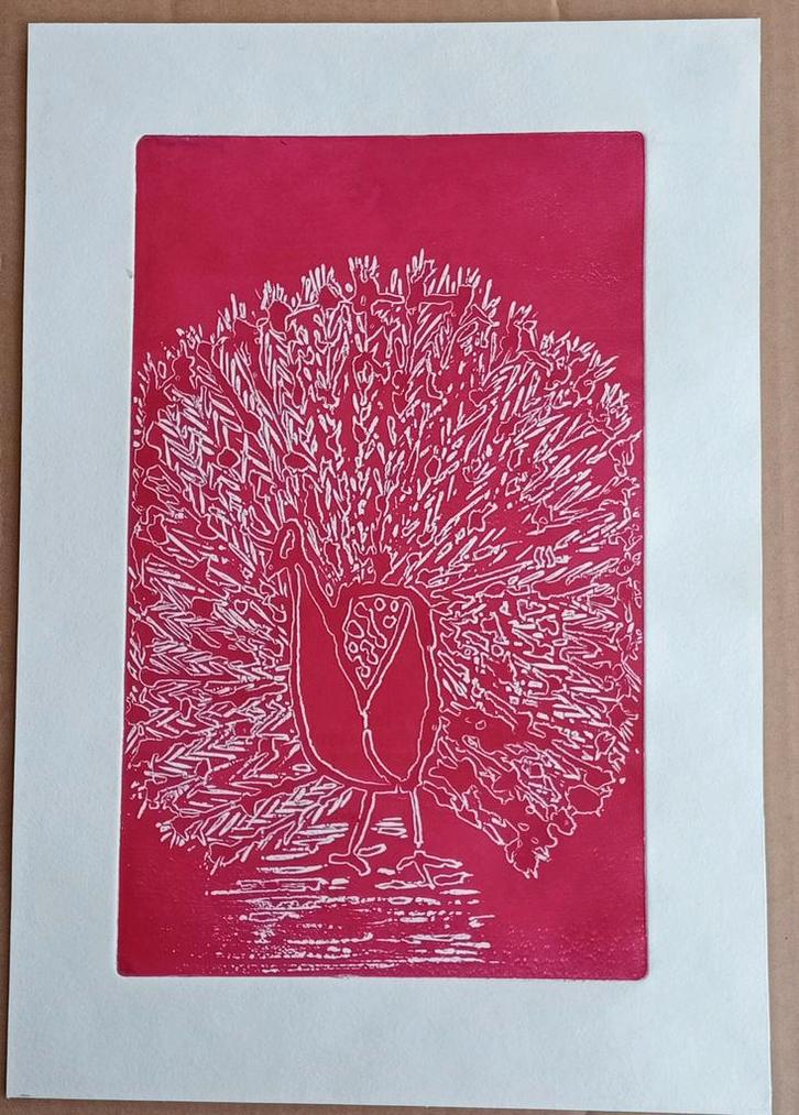 Nico Geel - Pauw Ets, Antiek en Kunst, Kunst | Etsen en Gravures, Ophalen of Verzenden