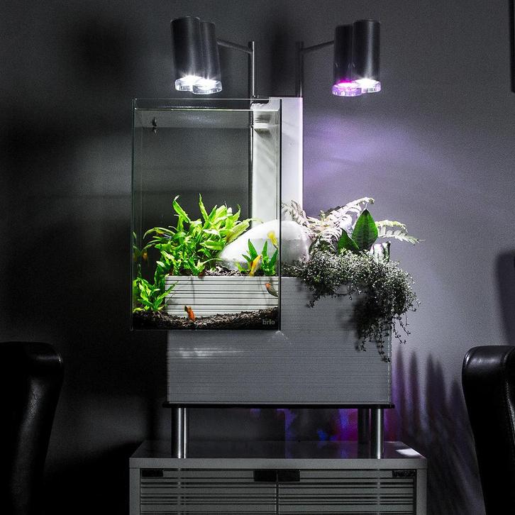Brio 35 aquariums, Dieren en Toebehoren, Vissen | Aquaria en Toebehoren, Nieuw, Leeg aquarium, Ophalen of Verzenden