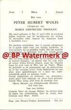 Wolfs Peter 1900 Pey 1965 x Thoolen - 21592, Verzamelen, Bidprentjes en Rouwkaarten, Bidprentje, Ophalen of Verzenden