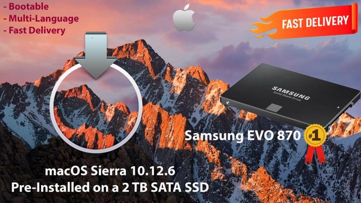 macOS Sierra 10.12.6 VoorGeïnstalleerd op SSD van 2TB OSX, Computers en Software, Besturingssoftware, Nieuw, MacOS, Ophalen of Verzenden