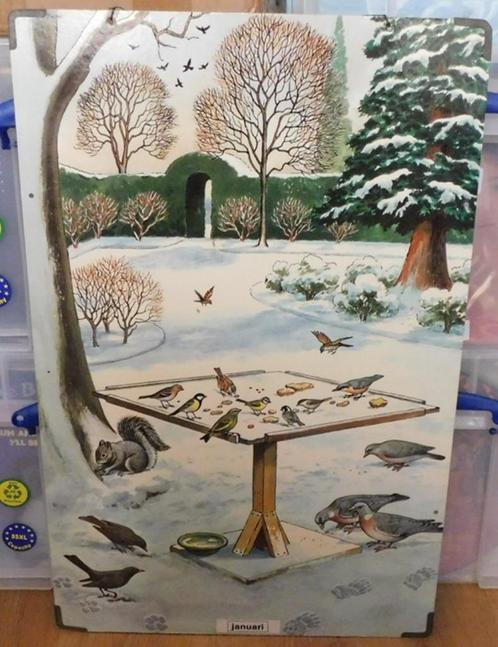 5 dubbelzijdige: Callograph Nature Wall Pictures, Antiek en Kunst, Antiek | Schoolplaten, Natuur en Biologie, Ophalen