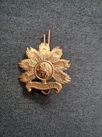 Speld, Verzamelen, Ophalen of Verzenden, Landmacht, Nederland, Embleem of Badge