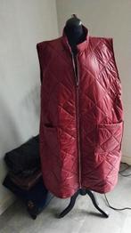 Nieuwe bodywarmers, Ophalen of Verzenden, Nieuw