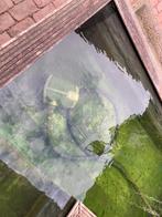 Vijverpomp en/of drukfilter, Ophalen, Gebruikt, Vijverpomp