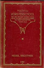 Multatuli Vorstenschool 1929, Antiek en Kunst, Ophalen of Verzenden