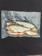 Doodaas/voorn, Ophalen of Verzenden, Nieuw, Overige typen