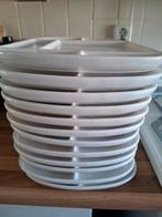 T.k. 12 prachtige gourmet borden, Ophalen, Zo goed als nieuw, Bord(en), Overige stijlen