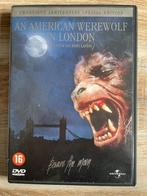 An American Werewolf in London (1981) - dvd, Gebruikt, Vanaf 16 jaar, 1980 tot heden, Ophalen of Verzenden