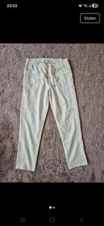 Summum broek, Ophalen of Verzenden