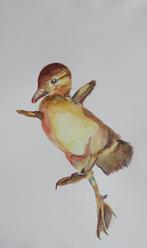 schilderijen verzameld vogels, Minder dan 50 cm, Oorspronkelijke maker, Ophalen of Verzenden, Zo goed als nieuw