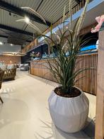 Kunstplant met polyester pot, Kunststof, Minder dan 30 cm, Rond, Ophalen of Verzenden