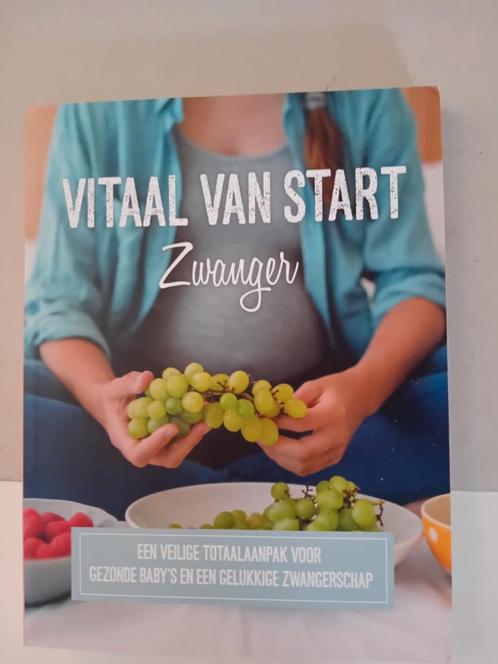 Sanne Knijn - Vitaal van start, Boeken, Zwangerschap en Opvoeding, Zo goed als nieuw, Zwangerschap en Bevalling, Verzenden