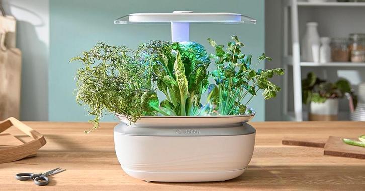 Bosch SmartGrow Indoor Tuin - Perfect voor Kruiden!, Tuin en Terras, Kweekspullen, Zo goed als nieuw, Kweekbak, Ophalen of Verzenden