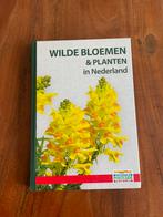 GRATIS Wilde bloemen & planten in Nederland, Ophalen, Nieuw, Bloemen, Planten en Bomen