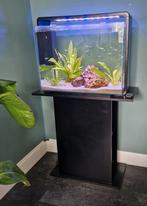 Aquarium Superfish Home 85, zwart met meubel., Dieren en Toebehoren, Vissen | Aquaria en Toebehoren, Ophalen, Zo goed als nieuw