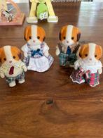 Sylvanian famalies te koop, Verzamelen, Poppenhuizen en Toebehoren, Ophalen, Zo goed als nieuw, Poppenhuis