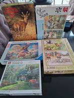 Puzzels Rien poortvliet,Ravensburger,Ot en sien, Ophalen, 500 t/m 1500 stukjes, Zo goed als nieuw