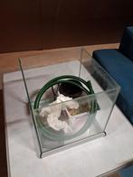 Vissenkom, Dieren en Toebehoren, Ophalen, Gebruikt, Leeg aquarium