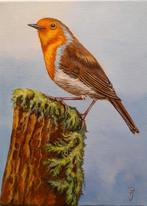 OPRUIMING schilderij roodborstje 293 - eigen werk - vogel, Ophalen of Verzenden