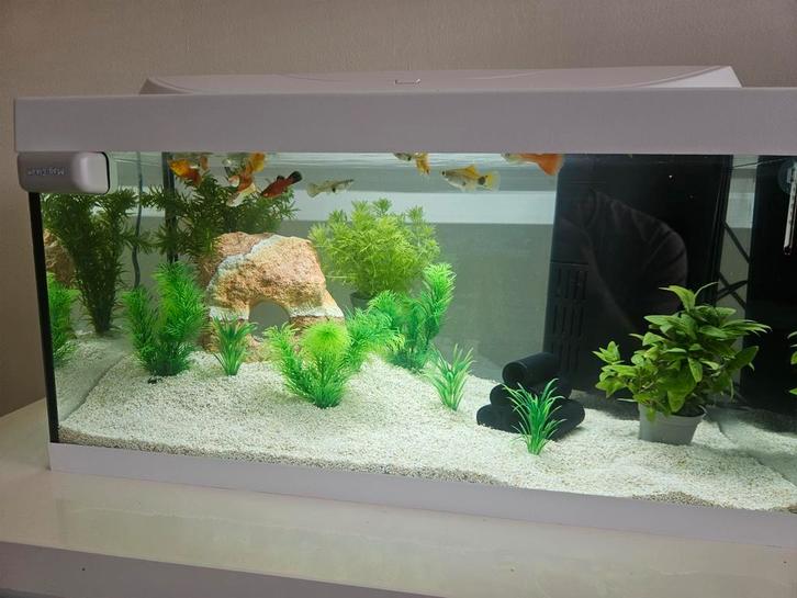 Aquarium tetra starterline, Dieren en Toebehoren, Vissen | Aquaria en Toebehoren, Zo goed als nieuw, Ophalen