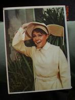 kaart Sally Field  ( Flying Nun ), Ophalen of Verzenden, 1960 tot 1980, Ongelopen, Sterren en Beroemdheden