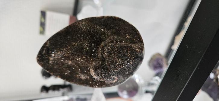 Septarie ei, Verzamelen, Mineralen en Fossielen, Ophalen of Verzenden