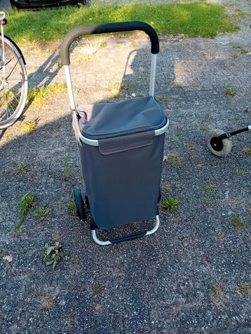 Boodschappen trolley  beschikbaar voor biedingen
