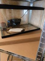 Tekoop aquarium, Dieren en Toebehoren, Ophalen, Gebruikt, Leeg aquarium