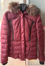 Superdry dames winterjas bordeauxrood maat M origineel, Overige kleuren, Superdry, Zo goed als nieuw, Ophalen