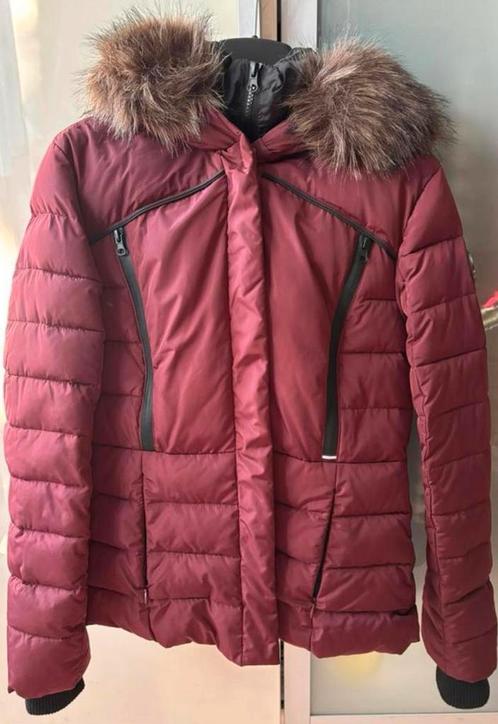 Superdry dames winterjas bordeauxrood maat M origineel, Kleding | Dames, Jassen | Winter, Zo goed als nieuw, Maat 38/40 (M), Overige kleuren