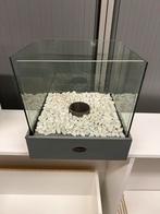 Riverdale Bio-ethanol (Tuin) Haard, Ophalen, Gebruikt, 25 tot 50 cm, Grijs