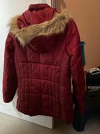 Winter jas dames, meisjes, Ophalen of Verzenden, Zo goed als nieuw, Maat 38/40 (M), Rood