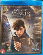 Fantastic beasts blu ray, Cd's en Dvd's, Ophalen of Verzenden, Zo goed als nieuw, Science Fiction en Fantasy