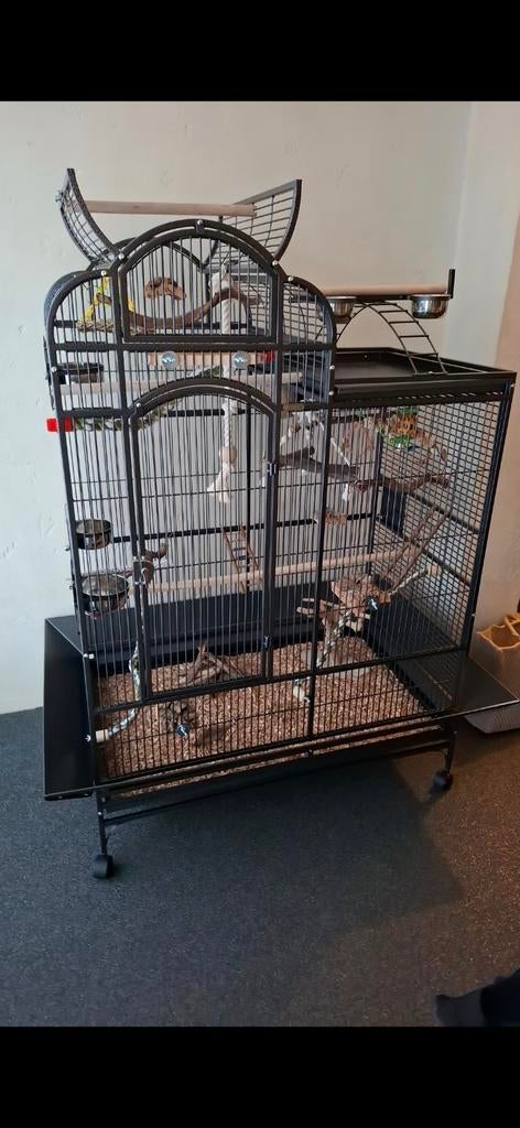 Kaddoc kooien, Ophalen of Verzenden, Zo goed als nieuw, Metaal, Vogelkooi