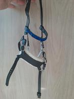 Hobbyhorse hoofdstel, Ophalen of Verzenden