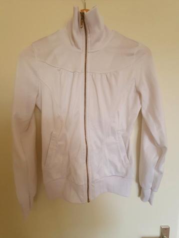 Wit Madonna H&M vest met ritssluiting zakken! beschikbaar voor biedingen