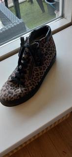 VERHULST  Prachtige enkel laarsjes mt 38-5, Kleding | Dames, Schoenen, Verzenden, Zwart, Lage of Enkellaarzen, VERHULST