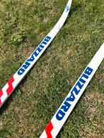 Langlauf ski’s decoratie, Ski's, Ophalen, Overige merken, 180 cm of meer