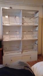 Kweekkooi, Dieren en Toebehoren, Ophalen, Zo goed als nieuw, Broedkooi of Kweekkooi