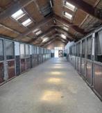 Stalling vrij bij Manege de Dollard Winschoten, Stalling, 4 paarden of pony's of meer